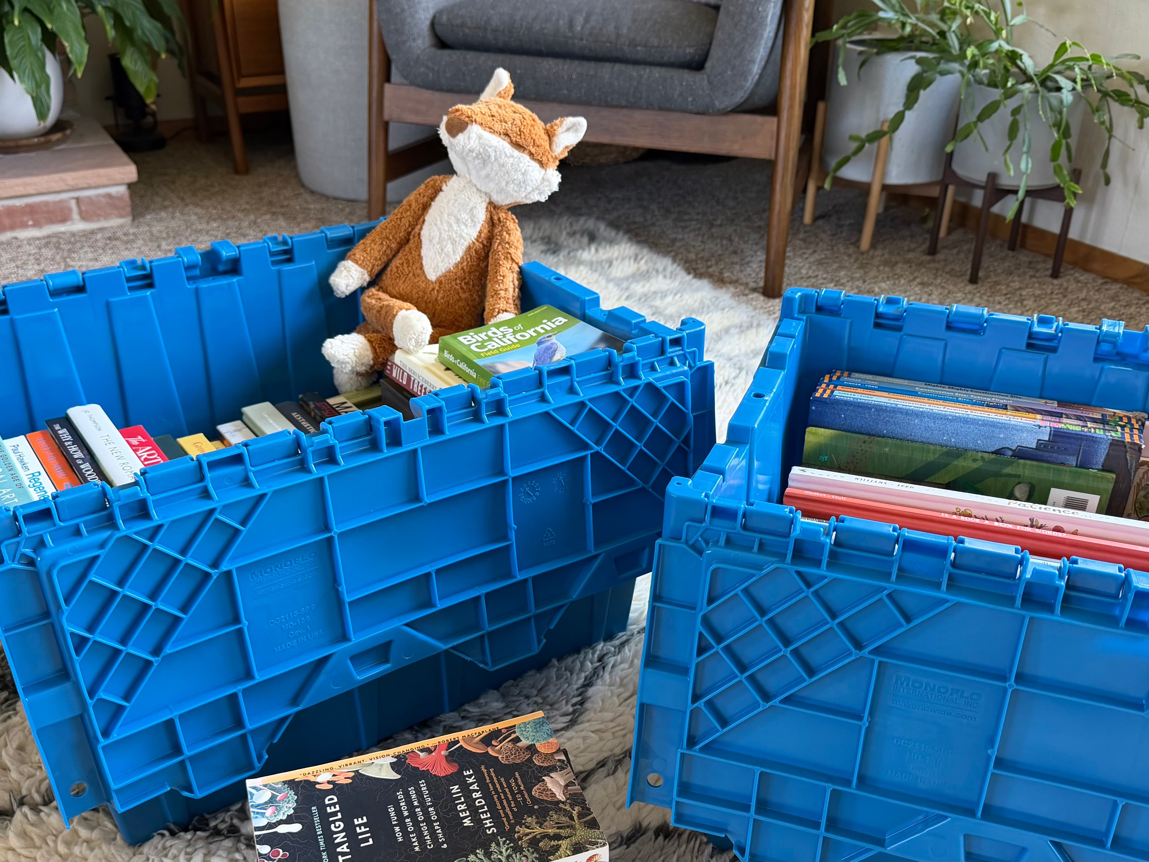 Two blue Cruz Totes packed with books in a living room, a stuffed fox riding along